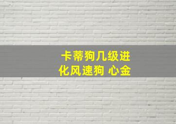 卡蒂狗几级进化风速狗 心金